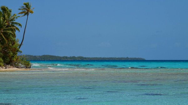 Votre Compagnon de Voyage : Découvrez l'Agence Idéale pour des Évasions Inoubliables!