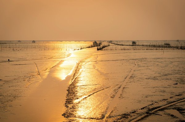 Plongez dans l'univers des hôtels étoilés : guide des établissements gastronomiques d'exception avec restaurants reconnus.