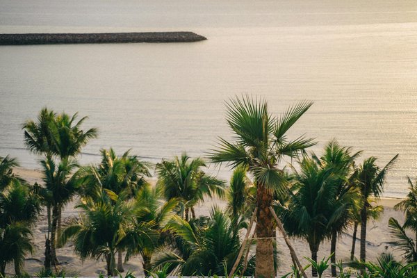 Explorez les Joyaux Industriels Inscrits au Patrimoine Mondial : Un Voyage au Cœur de l'Histoire et de l'Innovation