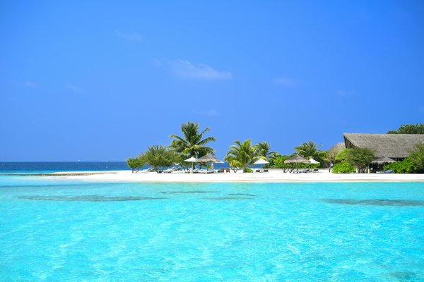 Secrets Indispensables pour Trouver le Site de Glamping Parfait